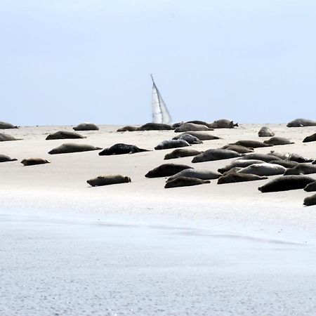 Borkumunterkunft - Woh7 - Im Herzen Der Insel Zewnętrze zdjęcie