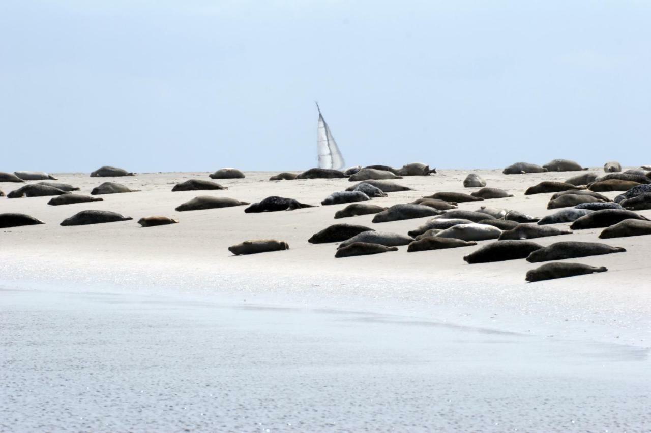 Borkumunterkunft - Woh7 - Im Herzen Der Insel Zewnętrze zdjęcie